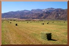 mc sv hay field